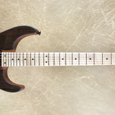 Jackson USA Custom Shop SL2H Soloist Mike Shannon Built Malaysian Blackwood Top Guitar image 2