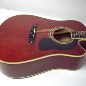 RARE! WASHBURN D-17 CES/WR acoustic /electric , With case 