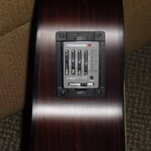 Breedlove AN 250 / CR  Natural image 6