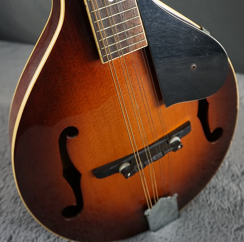 Kasuga mandolin top