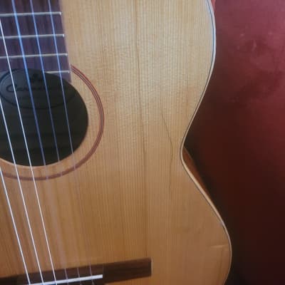 Hofner Carmencita T-3 Classical Guitar-Made in Spain 1960s image 8