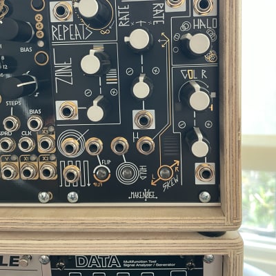 Make Noise Mimeophon Module | Reverb