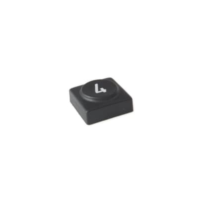 Oberheim - Xpander , Matrix 12 - Black panel switch cap with numeral '4'