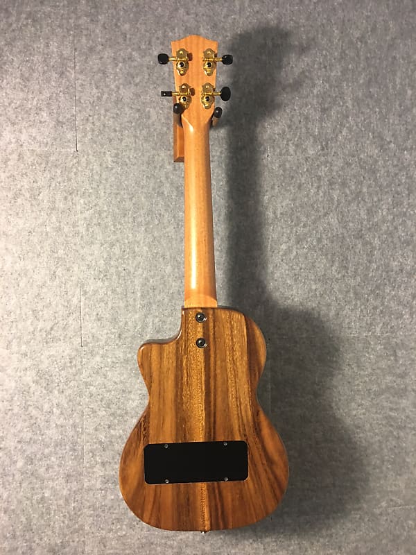 Pono TE-D Tenor Thinbody Electric with Case 2019 natural gloss