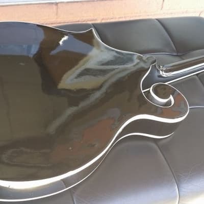 Berkeley Sunburst F-Style Mandolin Maple Back/Side image 5