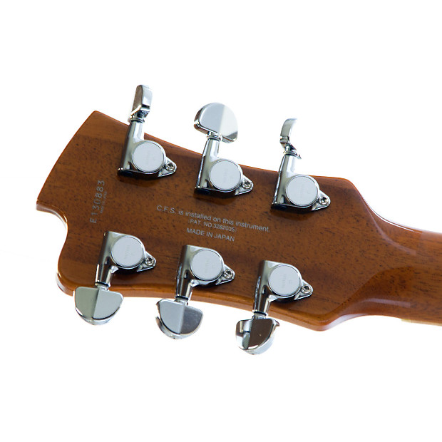 FGN EFL-FM富士弦 PRS 58/15LT搭載