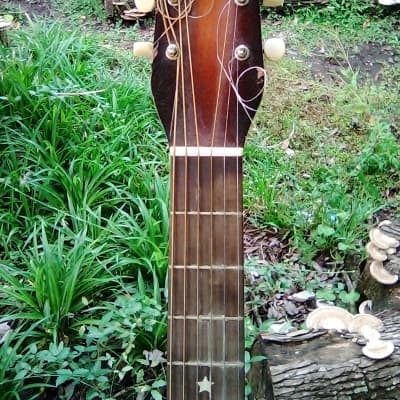 Supertone 1930,S 1930,S Brown Sunburst Cant find one this clean, early no sticker model image 8