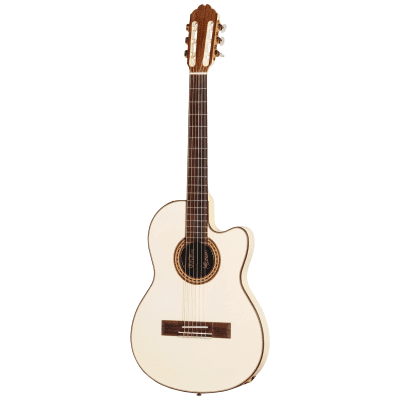 ギブソン　チェットアトキンス　CEモデル HOLD Gibson Chet Atkins CE - guitarshoptantan （ギター