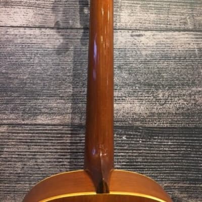 Resonator Round Neck Resonator Guitar (Dallas, TX) image 6