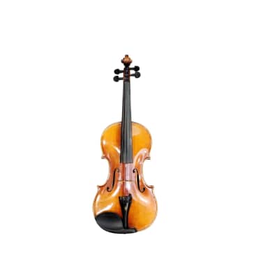 Scott Tchau(Scott Cao) 上級 4/4 虎杢 美品 弦楽器