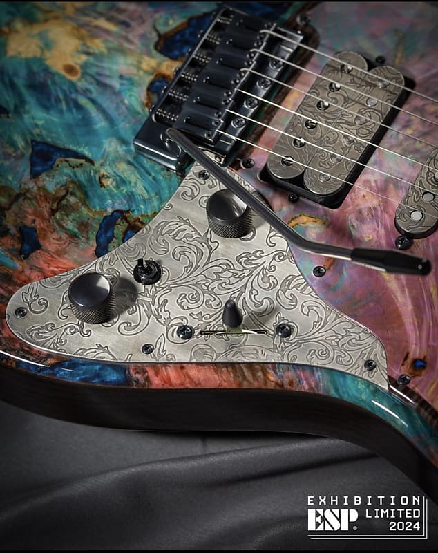 ギター Navigator ESP Custom Order Snapper 2H 24 ギター ESP Navigator Custom Order Snapper 2H 24 Navigator