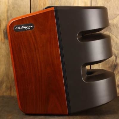 LR Baggs Synapse Personal PA System imagen 3