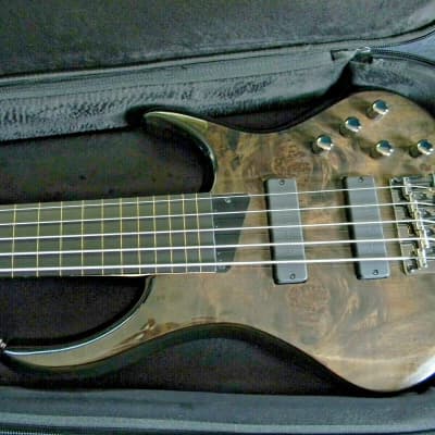 2021 MTD Kingston ZX5 (ZX-5) Fretless 5 String Bass  Trans Black Bartolini Brand New W/ MTD Gig Bag image 1
