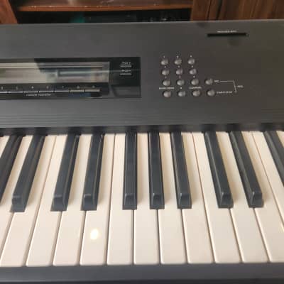 Korg M1 Music Workstation (Korg M1 Synthesizer with flight