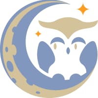 The Space Owl Collectibles