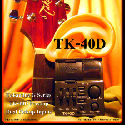 ギター TIDEMARK TBH DUAL INPUT PREAMP TIDEMARK TBH DUAL INPUT PREAMP