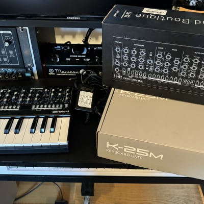 Roland SE-02 + K-25m Keyboard | Reverb