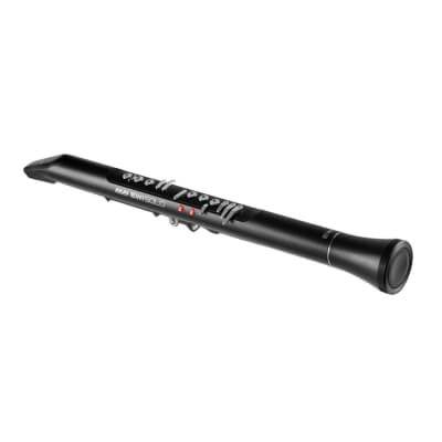 Akai Professional EWI Solo Electronic Wind Instrument with Built-in Speaker, Rechargeable Battery, and 200 Onboard Sounds
