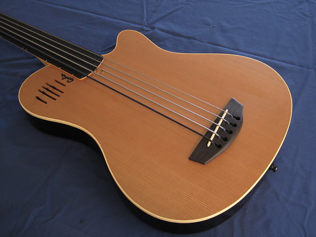 Godin a5 online fretless bass