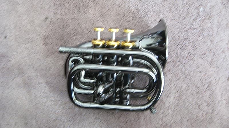 Polished Brass Bugle Instrument Pocket Trumpet With 3 Valve Flugel Horn,  Brass Trumpet Horn, Bugle Horn -  Canada