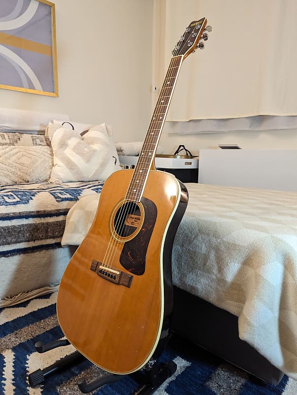 Washburn Spirit, Solidbody Thinline Acoustic Guitar + Mi-SI Motif + Impulse Responses (Fender Acoustasonic/Highway Series Dreadnought Alternative) image 1