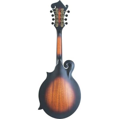 Washburn Vintage F-Style Mandolin Cutaway w/ Hardshell Case image 2