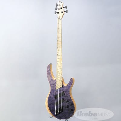 Acacia Guitars Atlas Modern 5st -Purple Dip- image 3