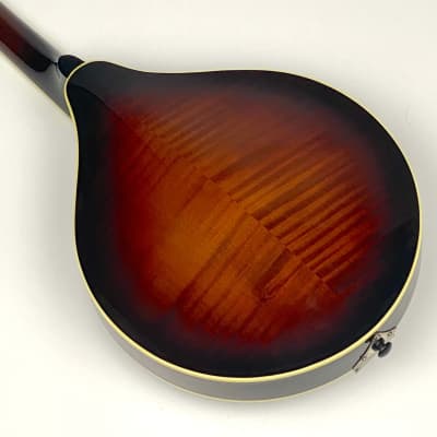Weber "A-Style" Mandolin Absaroka Custom ordered W OHSC image 10