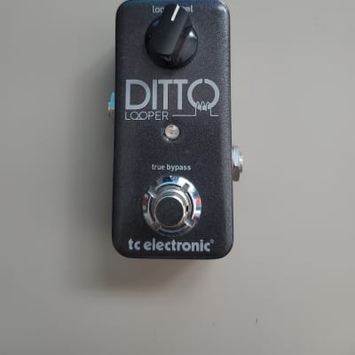 TC Electronic Ditto Looper | Reverb Canada