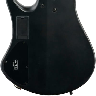 Ibanez Bass Workshop EHB1005 5-String Bass Guitar  - Black Flat image 3