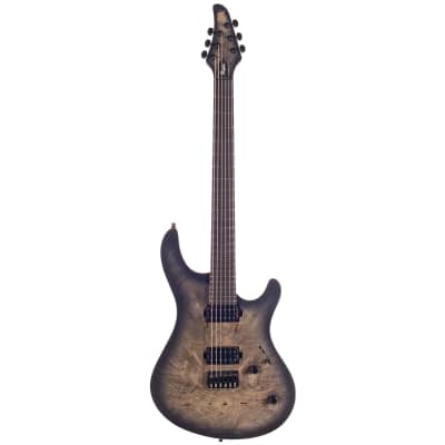 MAYONES Regius6（商品の説明をお読みください） MAYONES Regius 6 (Trans White Satine w/Glod Hardware