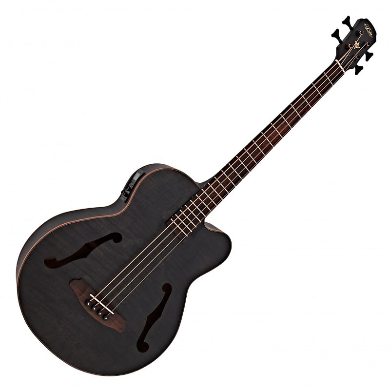 Aria FEB F2M STBK Medium Scale Electro-Acoustic Bass Guitar image 1
