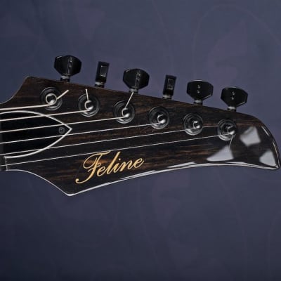 Feline Guitars Tabby Special GT Edition image 12
