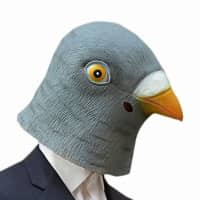 Birdboy Gear