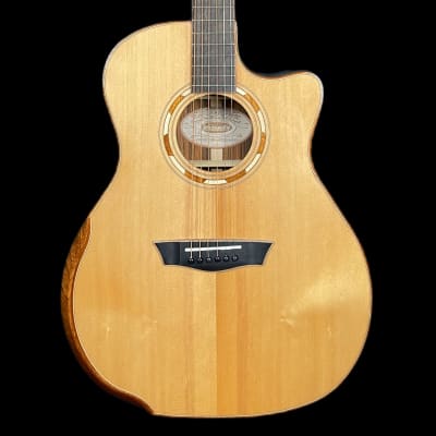 Washburn G25SCE-0 Electro-Acoustic Guitar image 1
