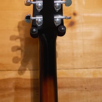 Palermo Custom Shop Shelby 2019 Heritage 2 Tone Sunburst  Semi-Hollow Thinline  W/ Gibson 335 Case image 6