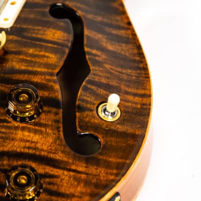 PRS Paul Reed Smith Hollowbody II Owned by Nils Lofgren image 8
