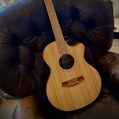 Cole Clark Angel 2 2018-2021 - Satin Bunya Top/Blackwood back and sides/She Oak fingerboard image 1