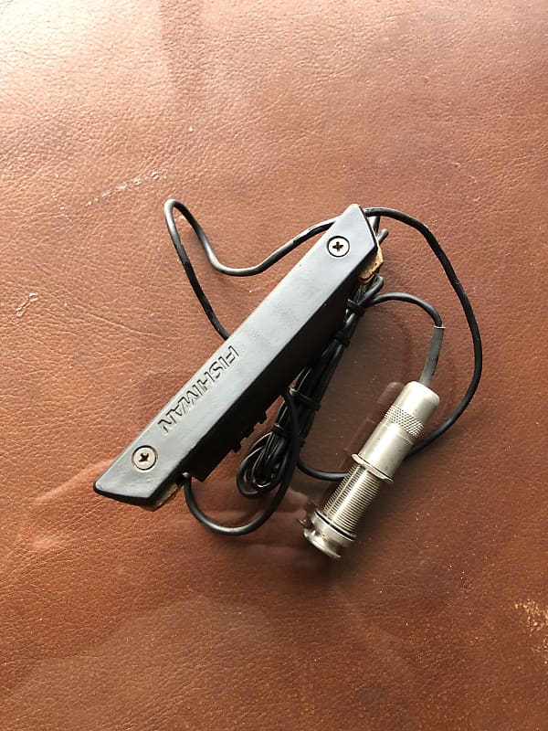 Fishman Acoustic pickup Reverb