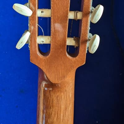 Hashimoto Gut Guitar NO.234 1968 マルハ - www.jcbonds.com