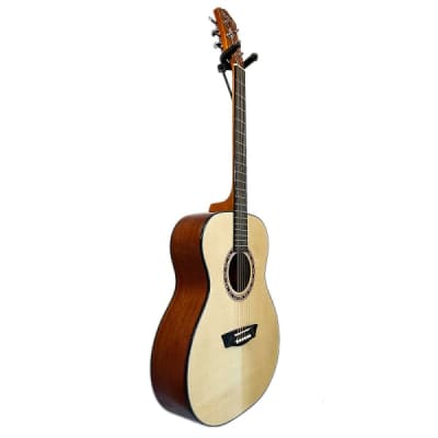 Washburn Apprentice Series AF5 Folk Size Acoustic Guitar - Hardshell Case Included for sale