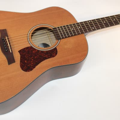 Seagull M6 Cedar GT Dreadnaught Solid Cedar Top! w/HSC! | Reverb