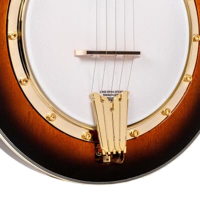 GOLD TONE EBM-5 electric 5-string F-style BANJO new w/ Gold Tone Case image 4