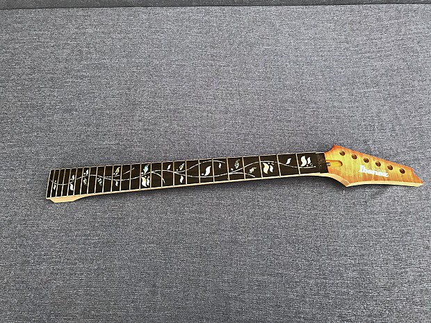 Custom shop ibanez neck