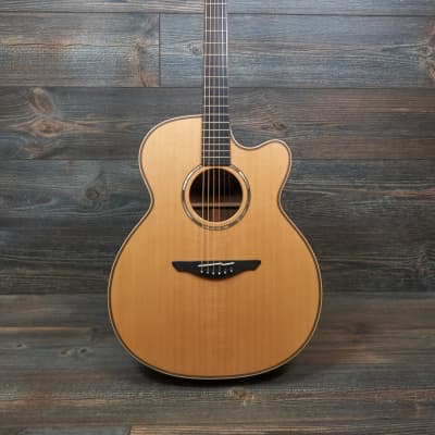 Avalon L2-20C Pioneer series Acoustic with case image 2