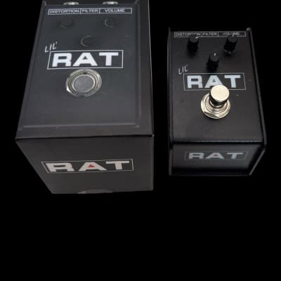 ProCo Lil Rat | Reverb