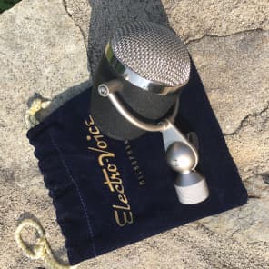 Electro-Voice Raven Cardioid Dynamic Microphone