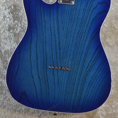 Fujigen/FGN NTE210RAH-SBB See-Thru Blue Burst 3.89kg
