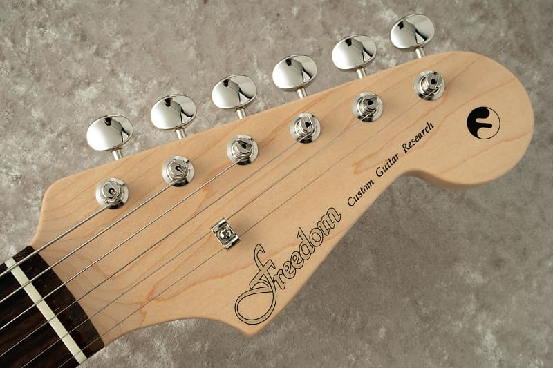 FREEDOM CUSTOM GUITAR RESEARCH Custom Order RS ST SSH Alder