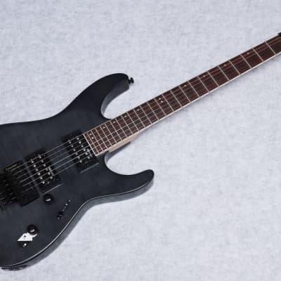 ESP LTD M-200FM Electric Guitar See Thru Black Finish - W/Setup & Bag image 1